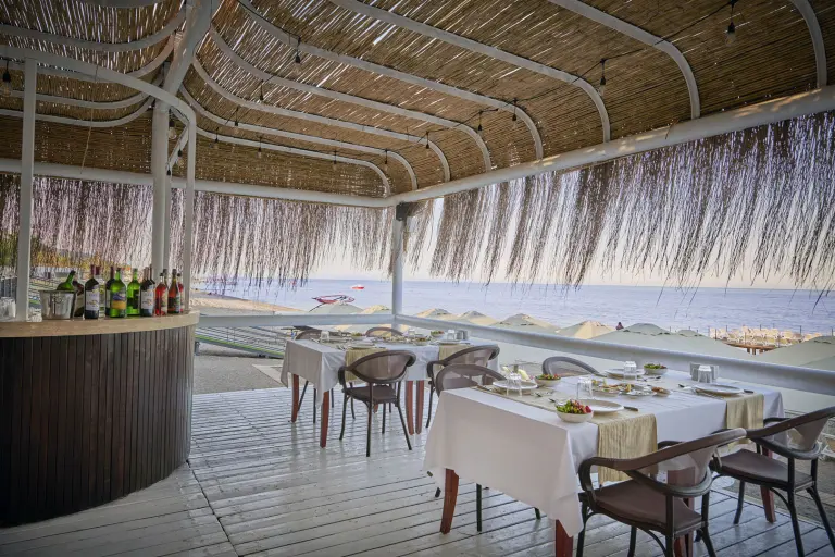 Restoran &amp; Bar